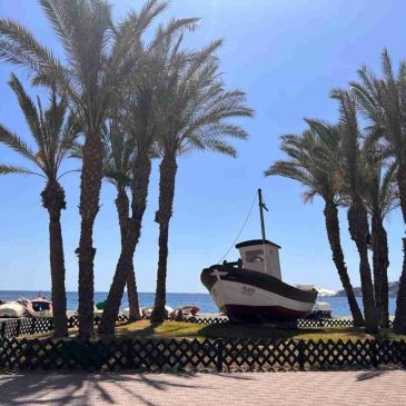 Discover Cycling in Andalucía