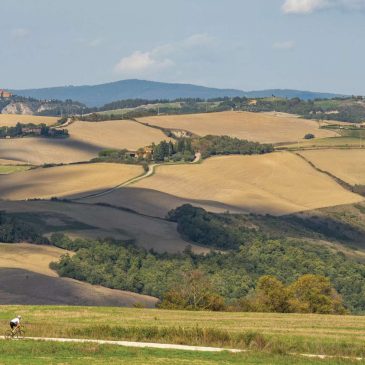 Sustainable Travel & Responsible Cycling Tours | Port Velo